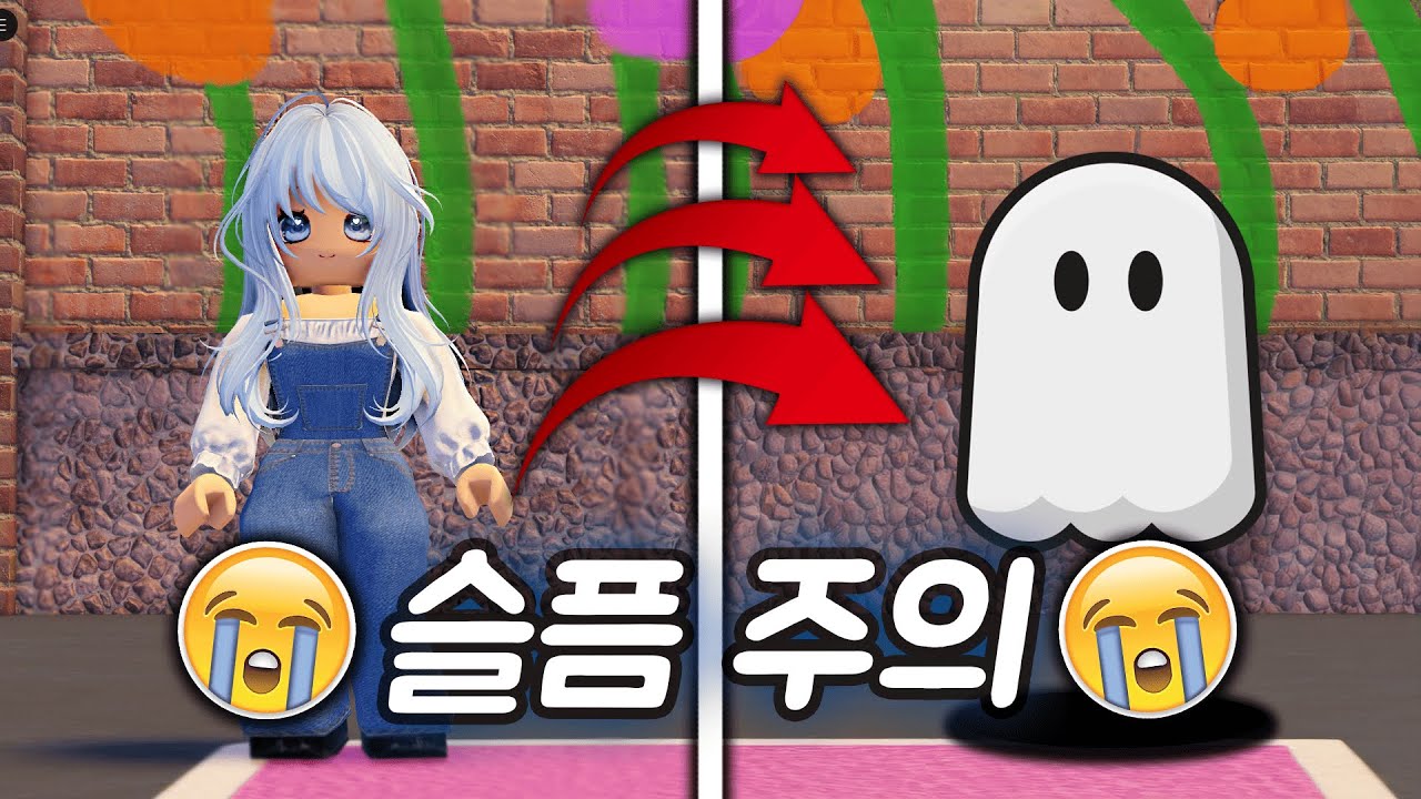 🕊️ 놓치면 후회할 로블록스 감동 스토리 모음