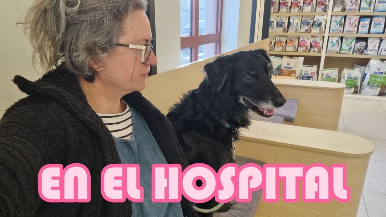 En el hospital veterinario con la Coco