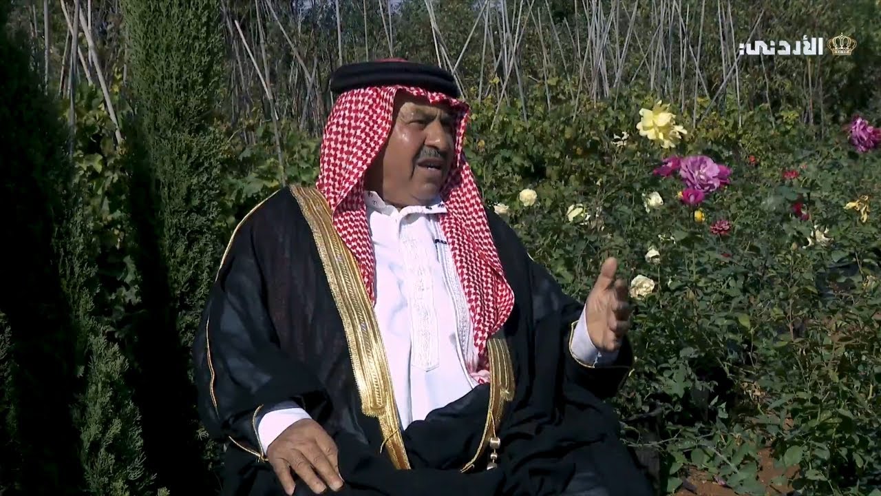 قرية أبو نصير