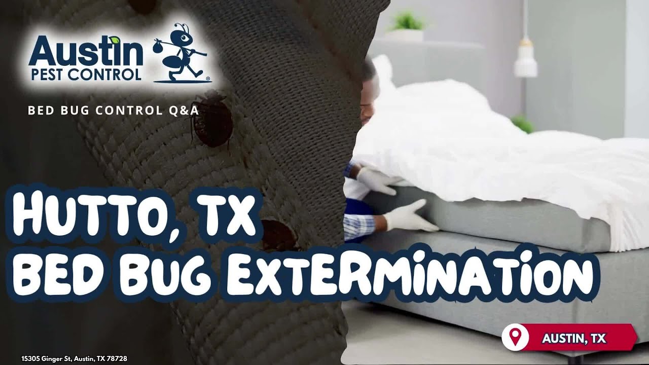 Hutto, TX Bed Bug Extermination (512) 777-1339