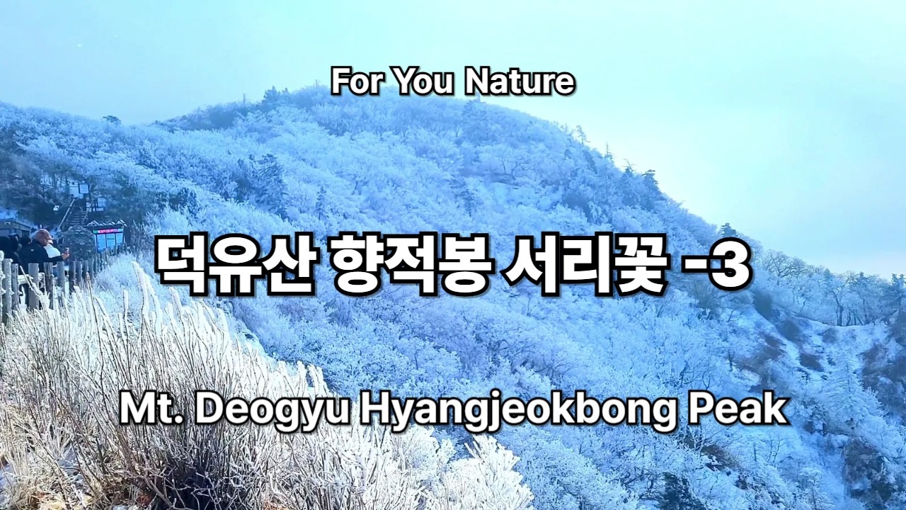 덕유산 향적봉에서 서리꽃 상고대 겨울바람소리를 즐기세요