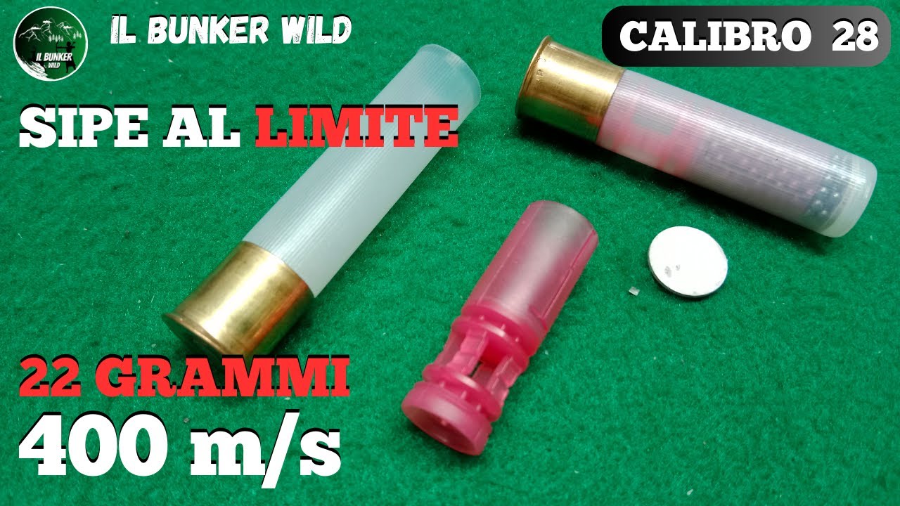 SIPE AL LIMITE ? 22 grammi a 400 m/s CALIBRO 28