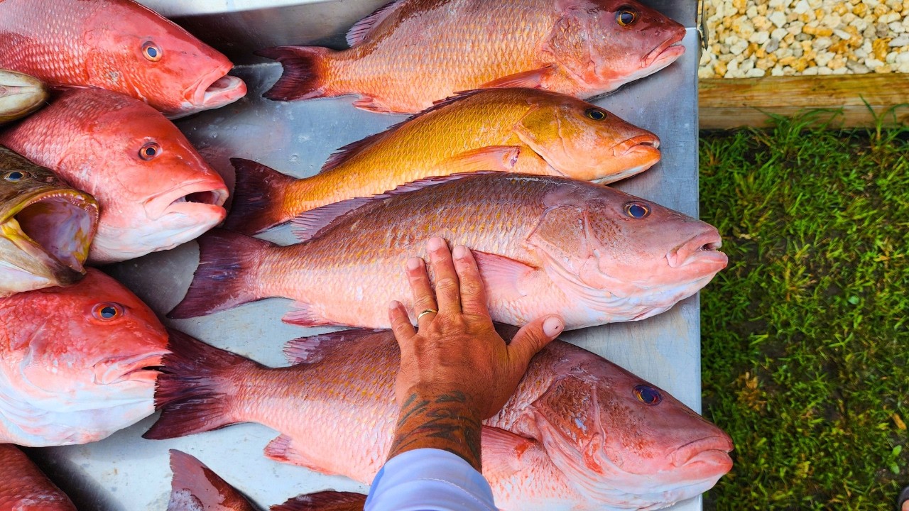 24  Horas De Pesca Sin Descansar Miles de Libras de Pescado!