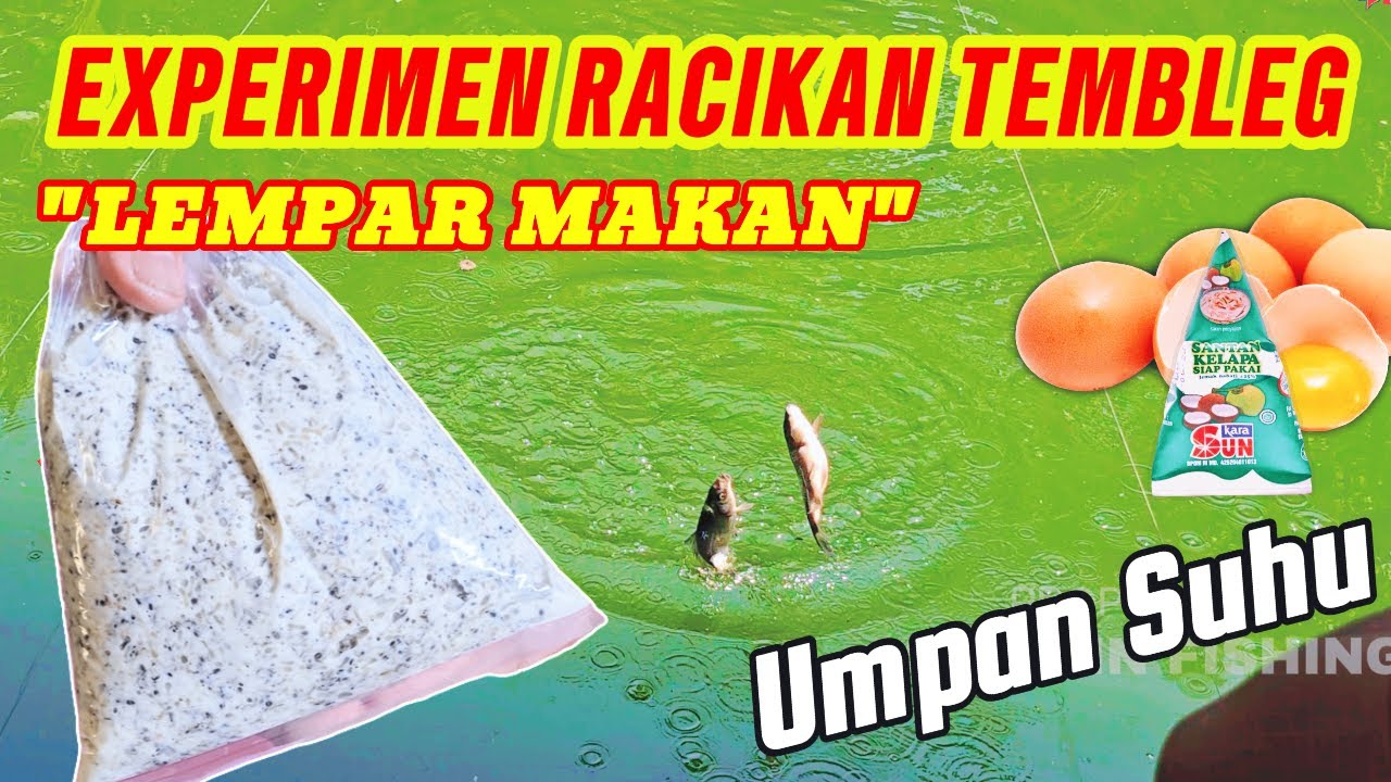 GARA GARA UMPAN TEMBLEG UMPAN IKAN MAS INI JADI BANYAK ❗❗ UMPAN SUHU MIX RAJA UMPAN KUKUS  #mancing