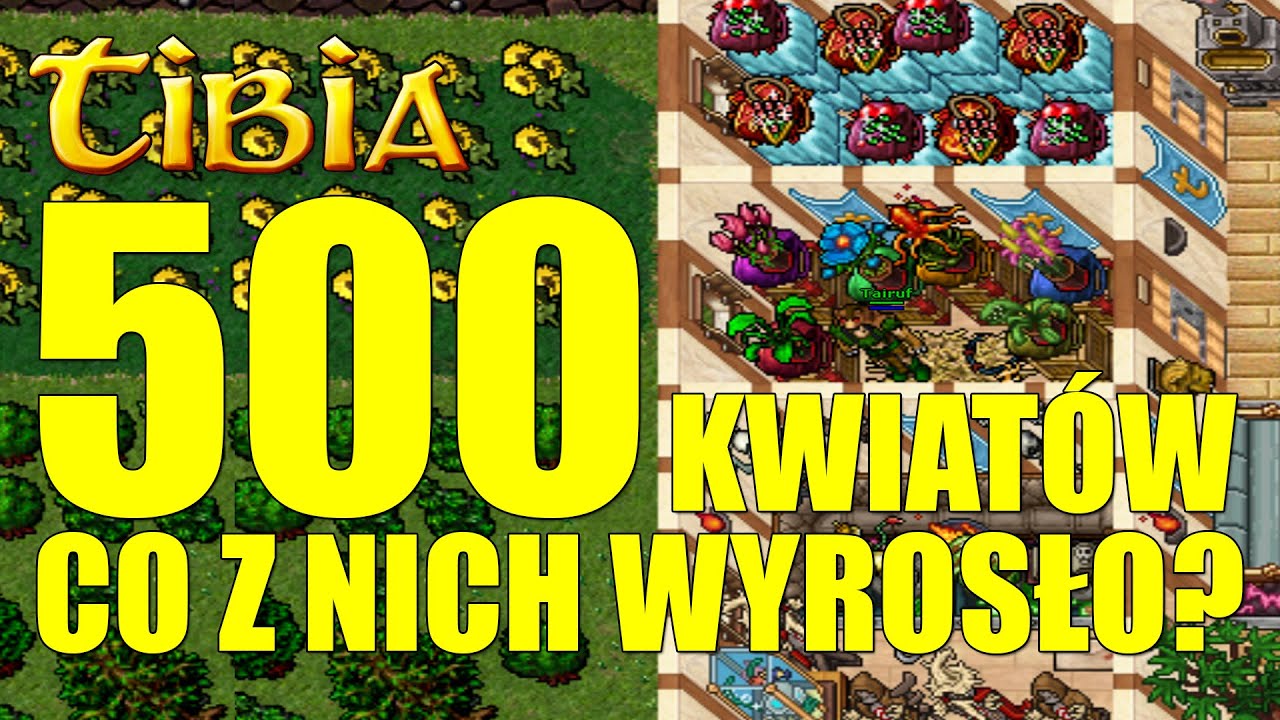 ZASADZIŁEM 500 KWIATÓW - CO Z NICH WYROSŁO? - TIBIA