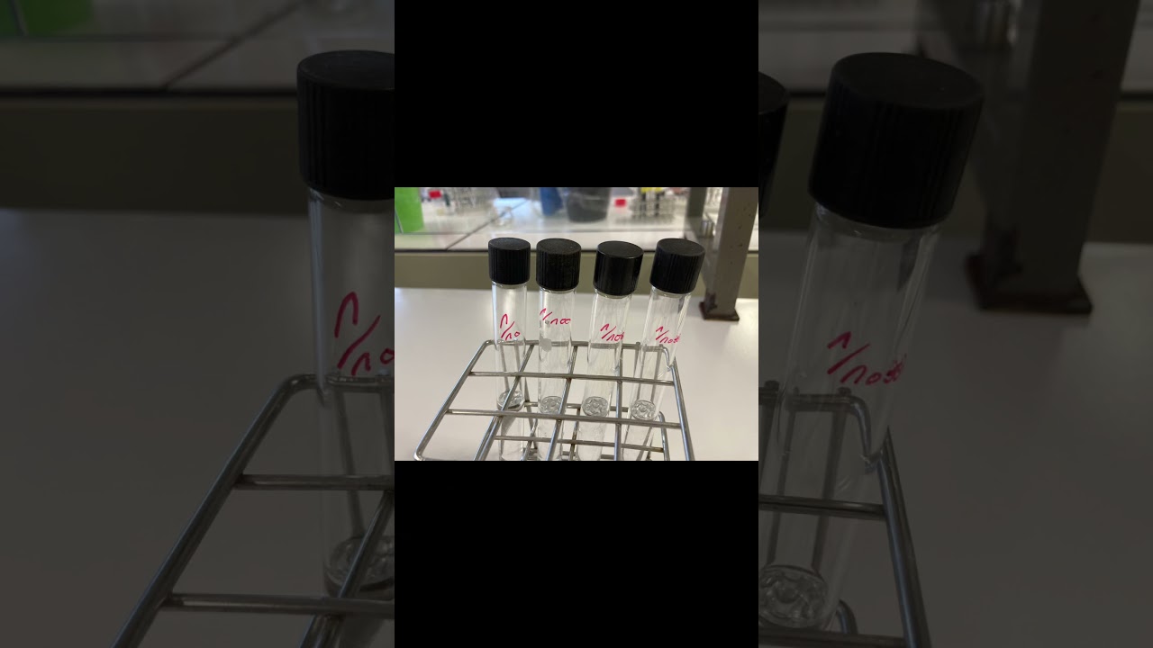 Expériences de contrôles microbiologique du lait cru terminale biotech senghor