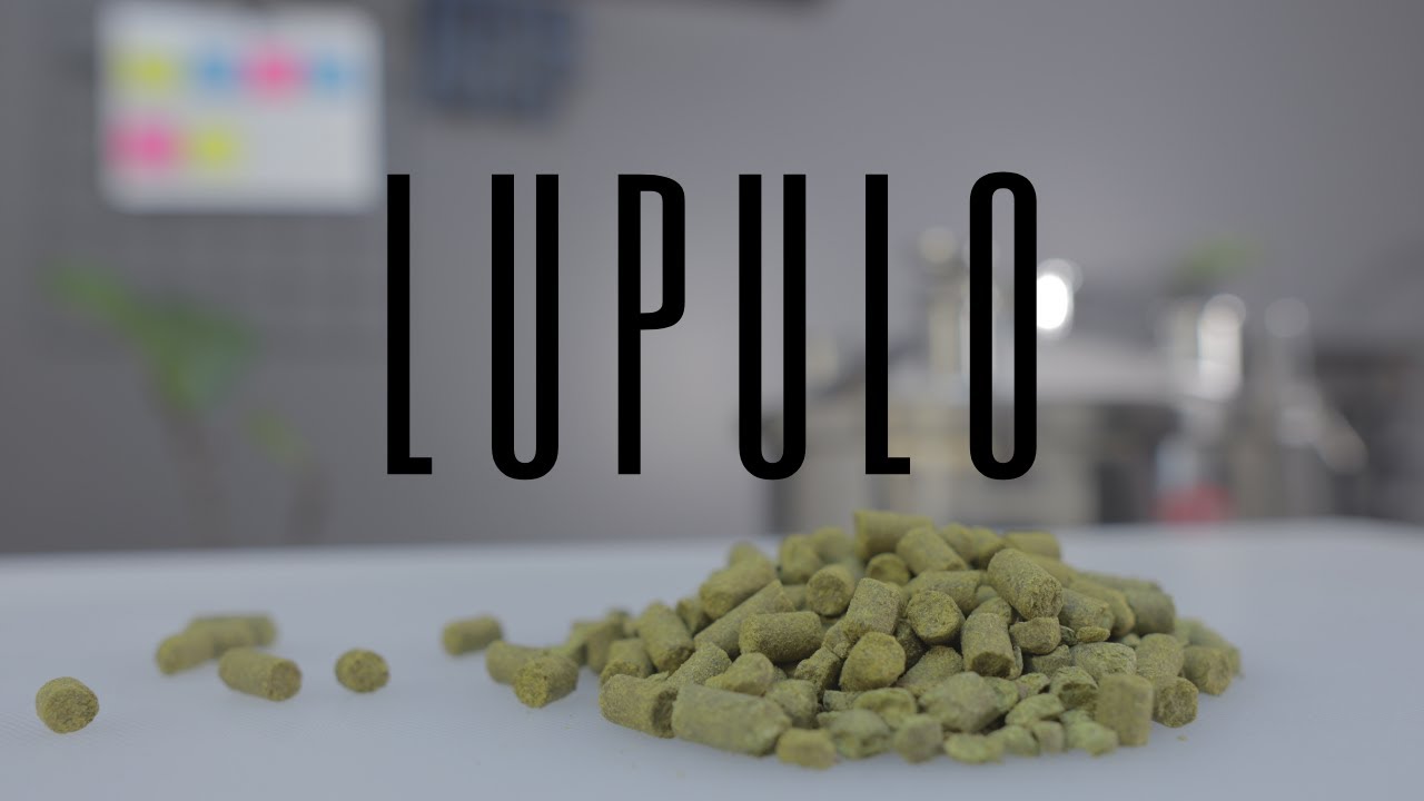 EL LUPULO // CASCADE,CHINOOK,WILLAMETTE,AMARILLO