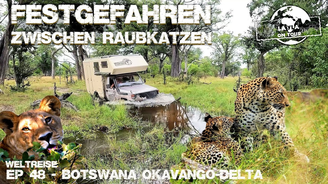 #48 - EXTREME WILDNIS! Wir stecken im Morast und werden attackiert | Roadtrip Africa 4x4 Moremi