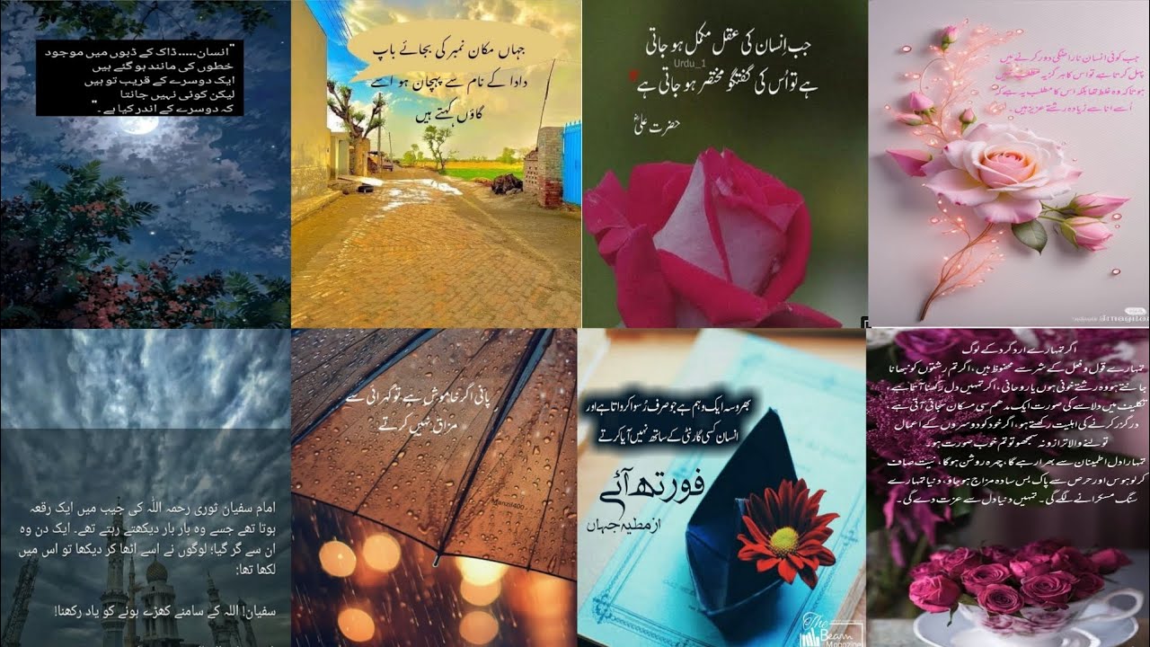 Hazrat Ali Quotes | deep lines | golden words in urdu | Urdu quotes | Golden Words | aqwal e zareen