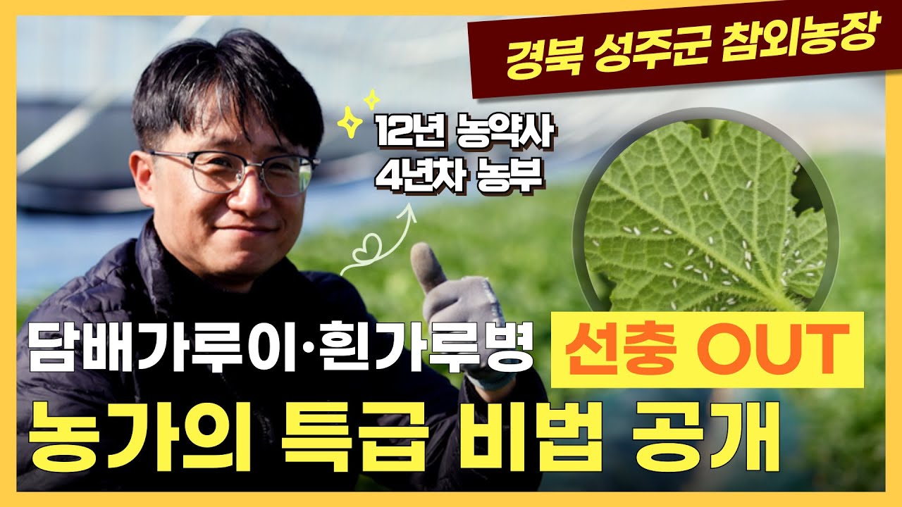 [쏠바이오] 선충제거 담배가루이 흰가루병 해결한 참외농가