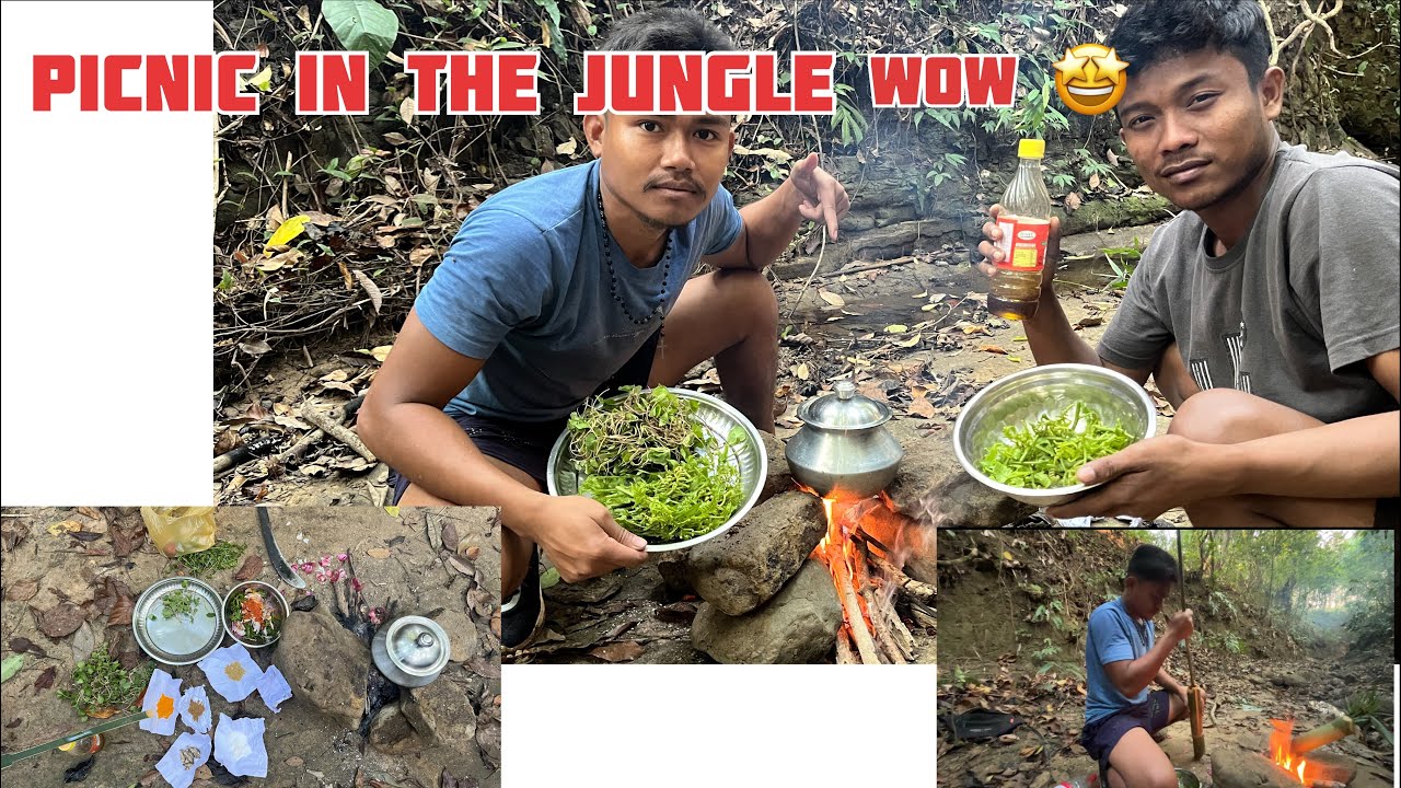 Picnic in the jungle ￼wow😮advlog 2026☺️