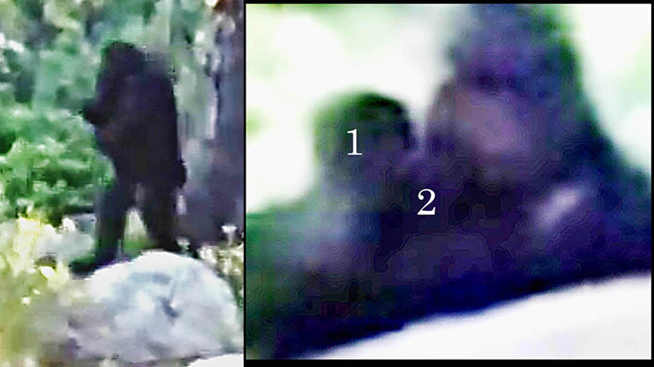 Bigfoot with Baby aka Independence Day Bigfoot - BREAKDOWN