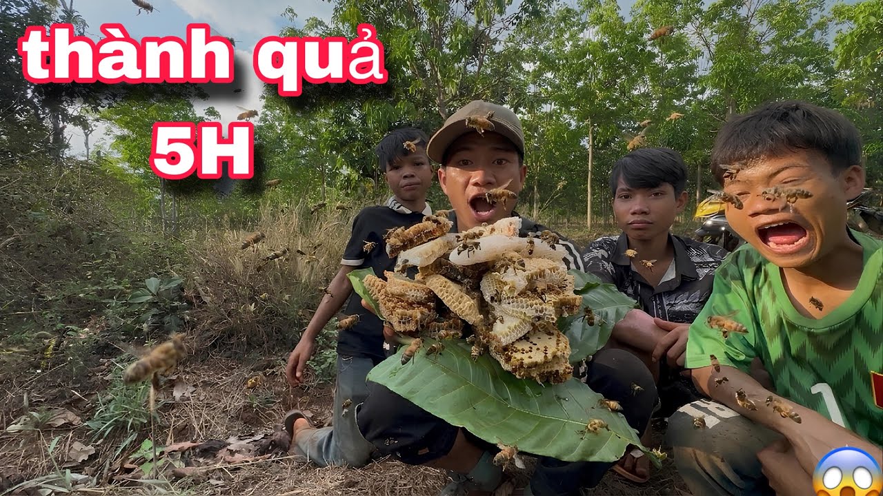 MỘT NGÀY ĐI TÌM TỔ ONG ĐẤT ĐẦU MÙA | Y ĐIÊU 