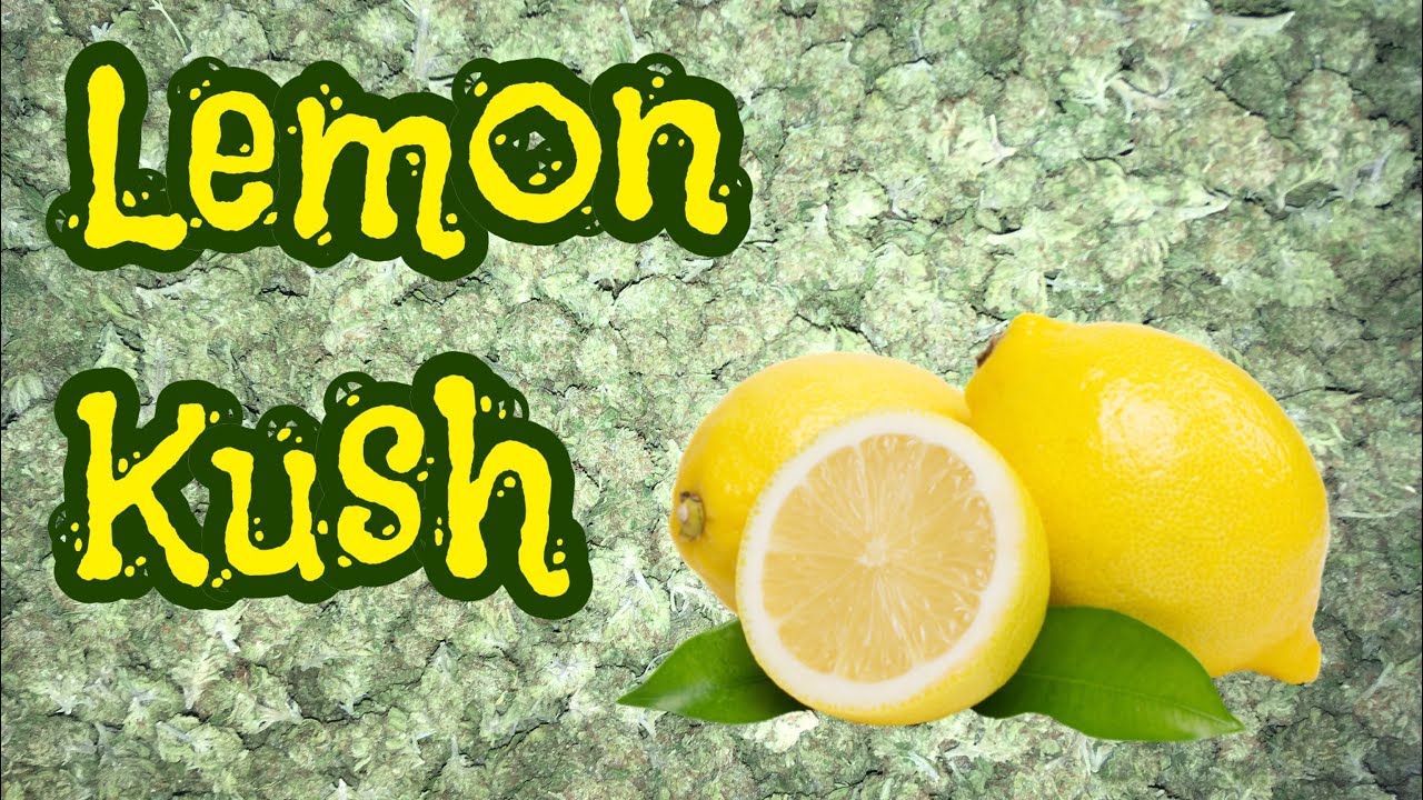 Lemon Kush