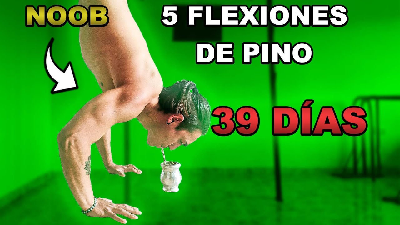 Principiante consigue 5 Flexiones de pino en 39 DÍAS