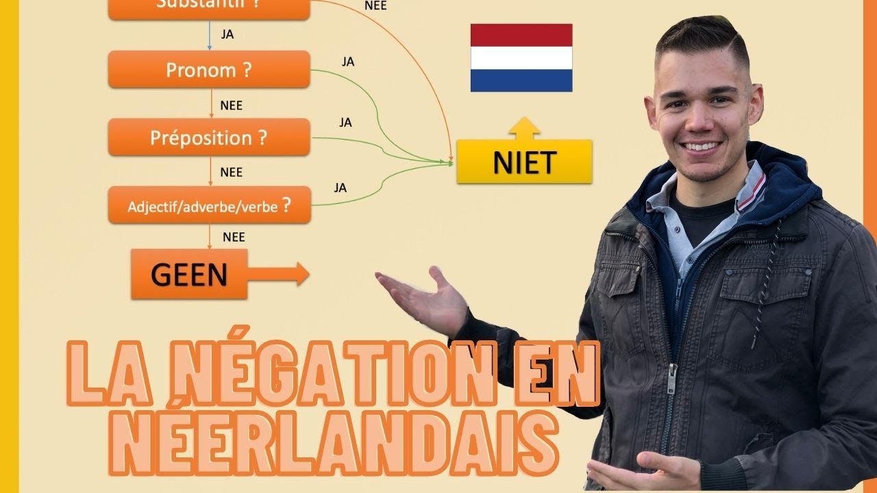 Geen/niet : La négation en néerlandais - cours de néerlandais gratuit ! Apprendre le néerlandais 😊