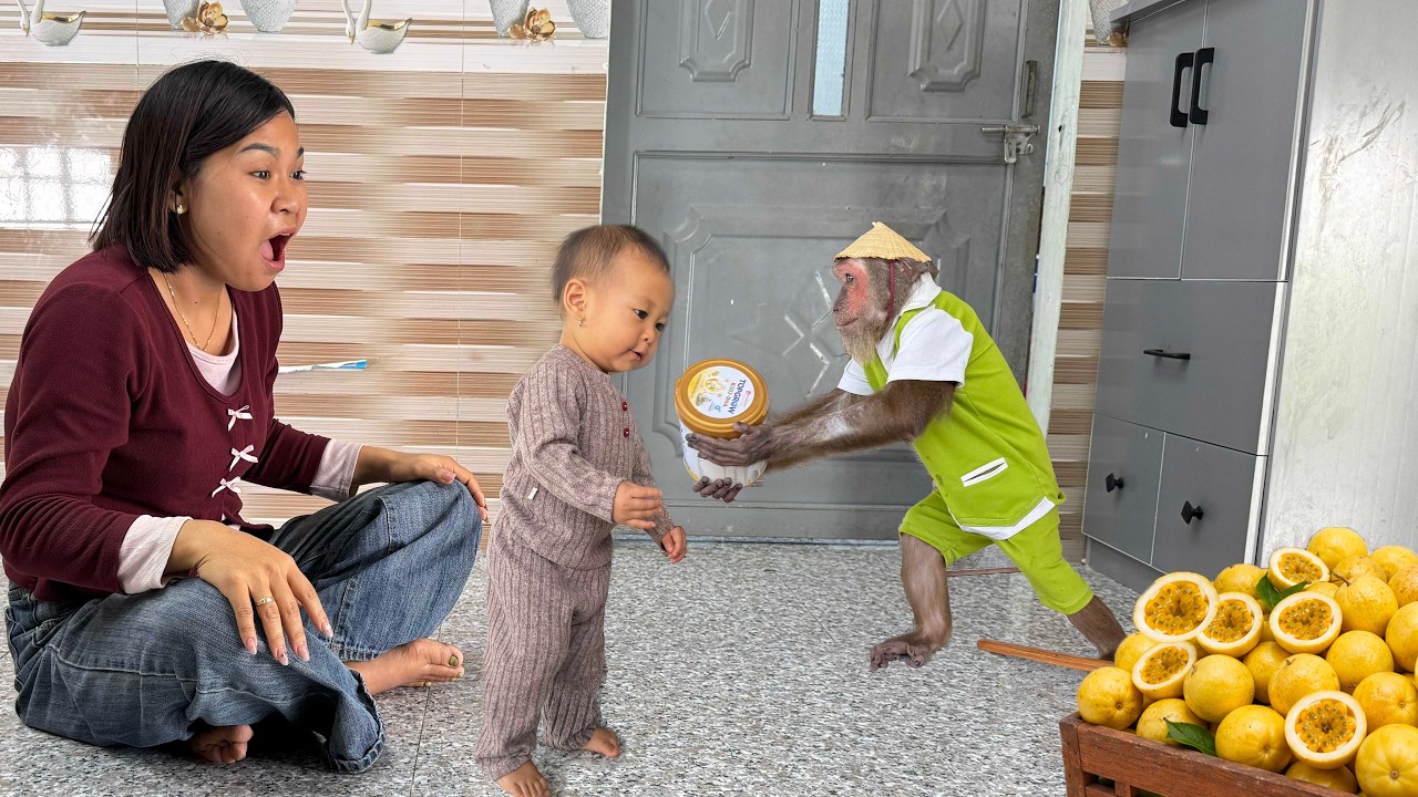 Farmer CUTIS Harvests Special Fruit to Buy Milk&mdash;Mom & Baby Yen Nhu&rsquo;s Surprised Reactions