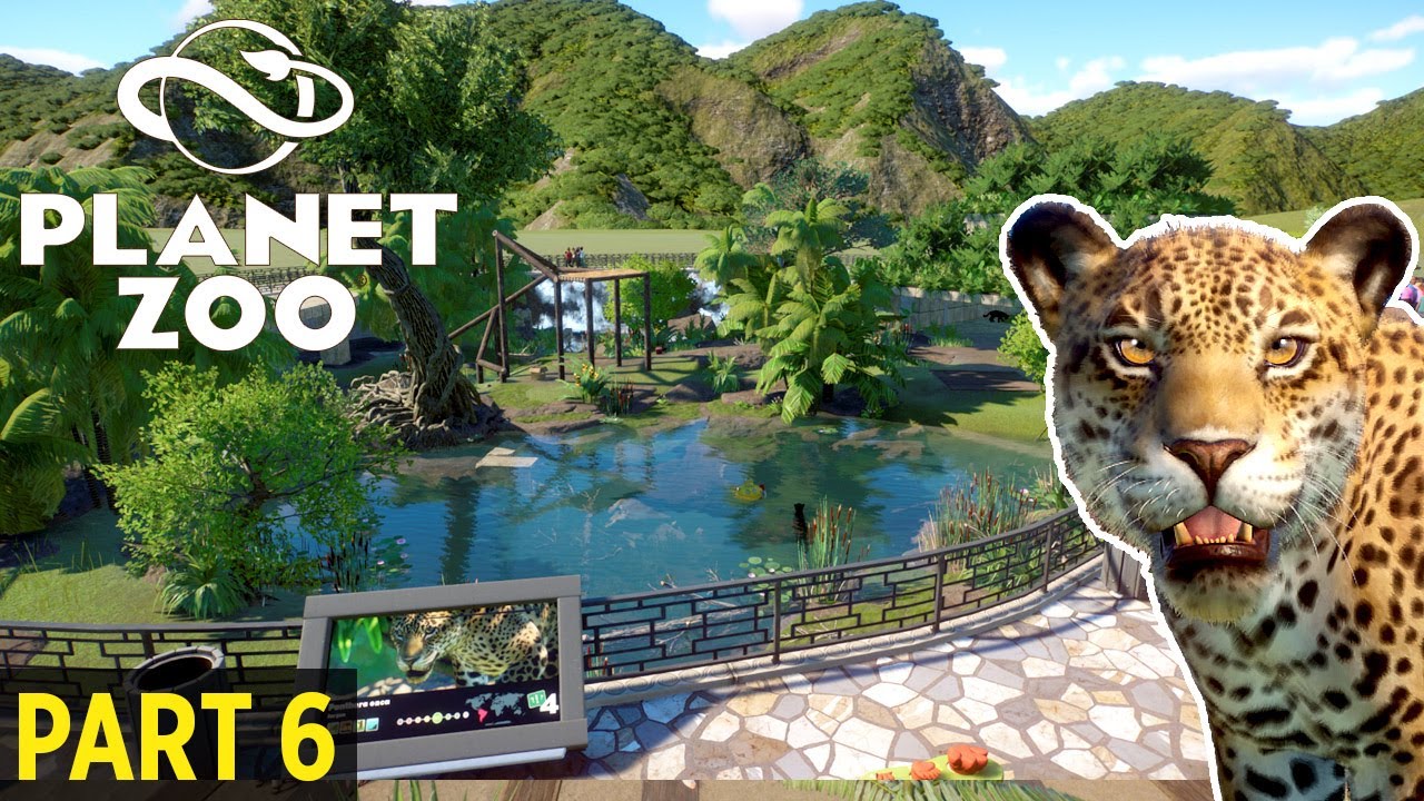 Starter Zoo Speed Build in Franchise Mode Part 6 | Kiwi Habitat | Planet Zoo