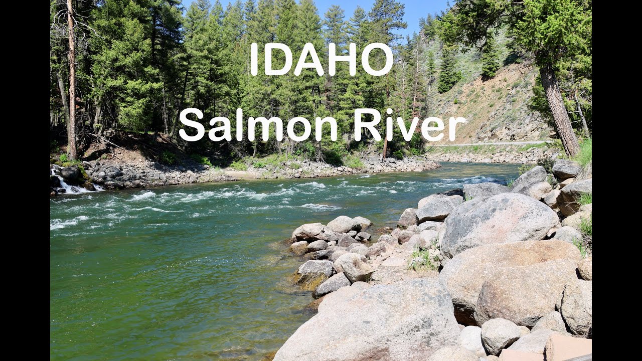 Idaho's Salmon River - Fly fishing for Cutbow, Cutthroat, Bull Trout and Rocky Mountain Whitefish