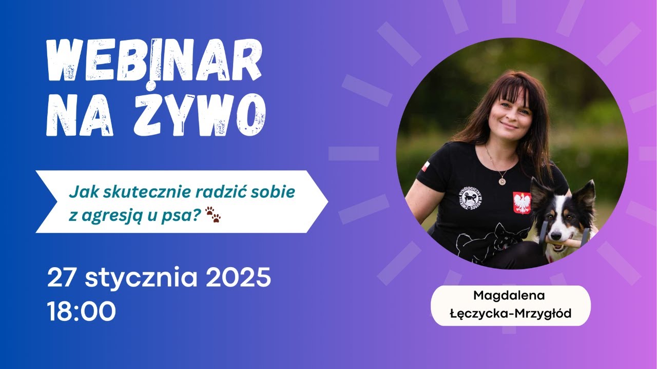 Jak skutecznie radzić sobie z agresją u psa?