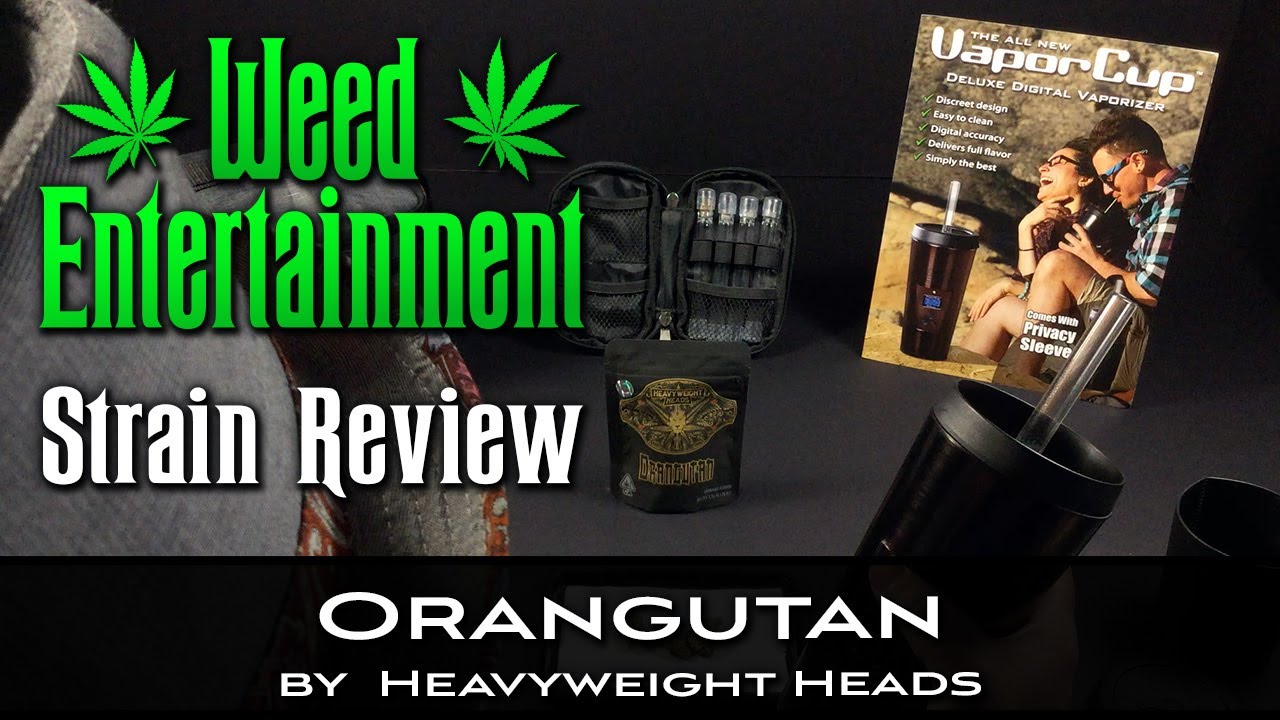 Orangutan - by Heavyweight Heads - October 2021