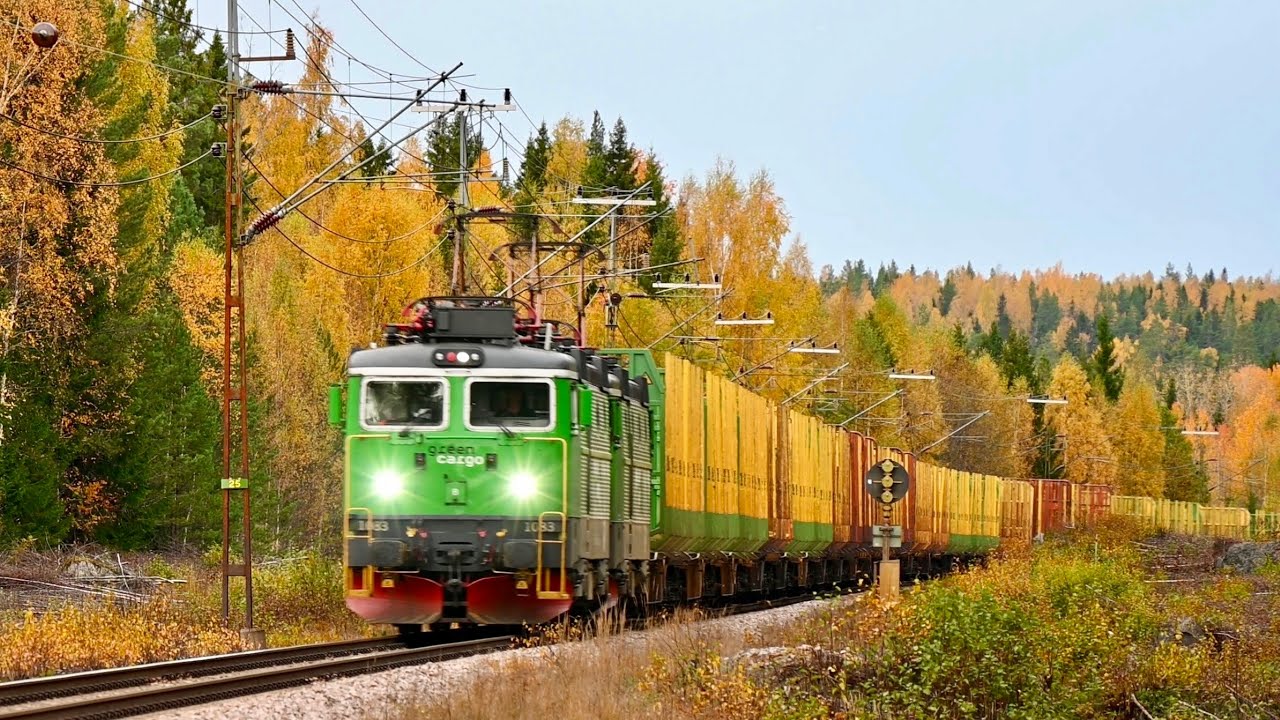 Trains in Holmsveden along Sweden's Northern Mainline