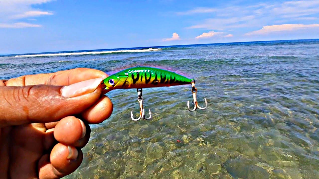 Mancing Casting Pinggiran Pakai Umpan Minow Altron || Asli Killer Warnanya🤩