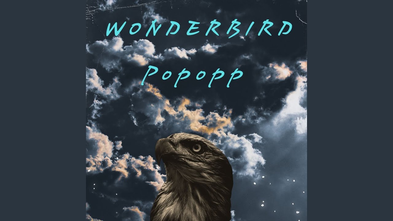 Wonderbird