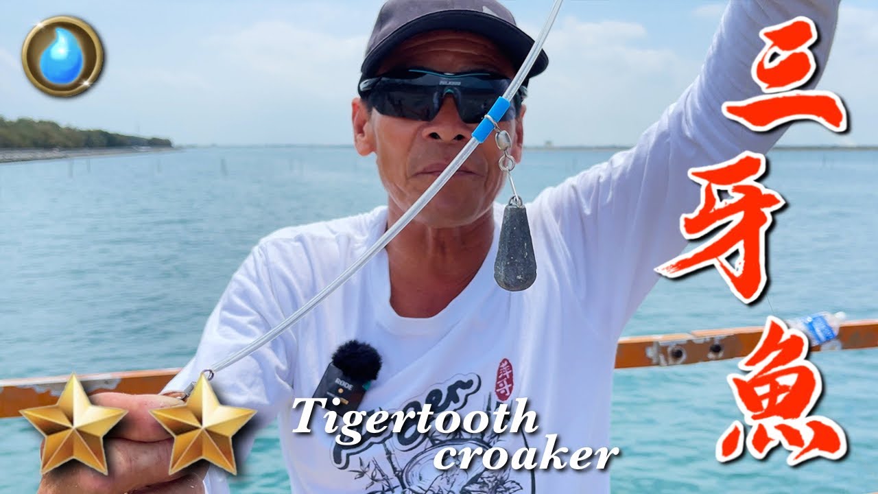 野味42集 | 三牙魚 | 奶油檸檬烤魚 | Tigertooth croaker |  萍哥Pinger