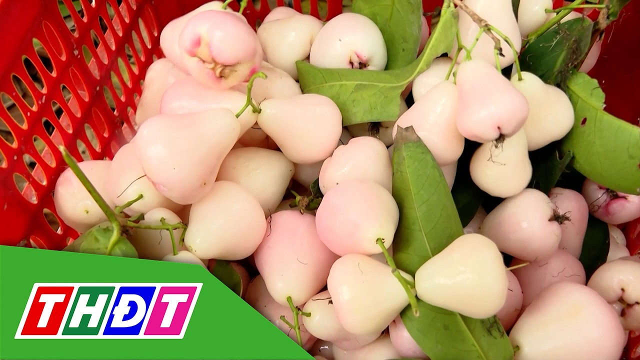 Câu chuyện OCOP | THDT