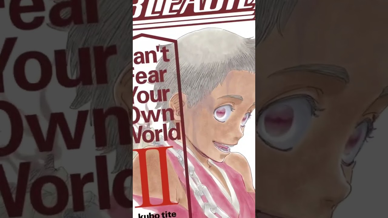 WHEN to read Bleach Novels? #anime #bleach #cfyow #safwy #rukia #ichigo #aizen #manga #shuheihisagi