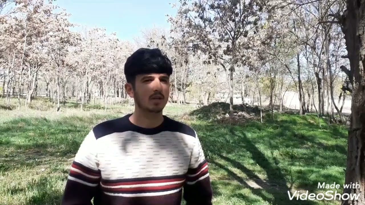 Impacts of Salma Dam on Agriculture