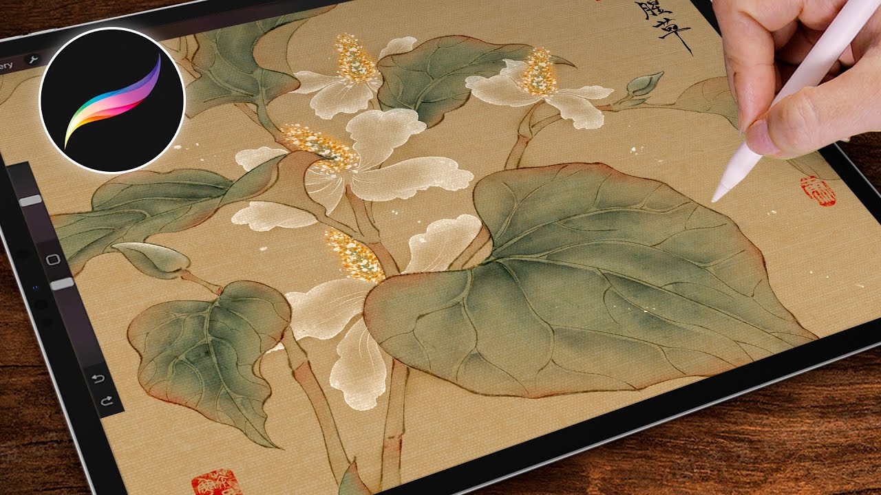 用Procreate把鱼腥草画成《本草纲目》艺术图鉴