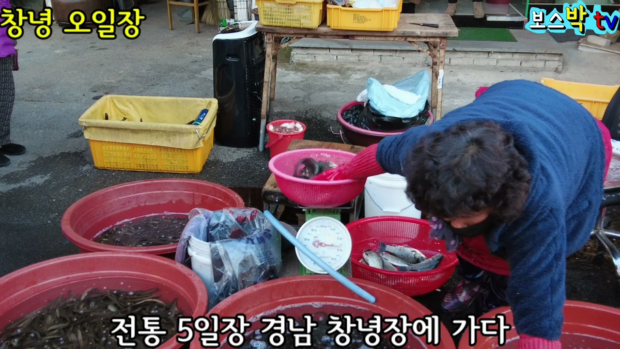 전통시장 창녕5일장에 가다
