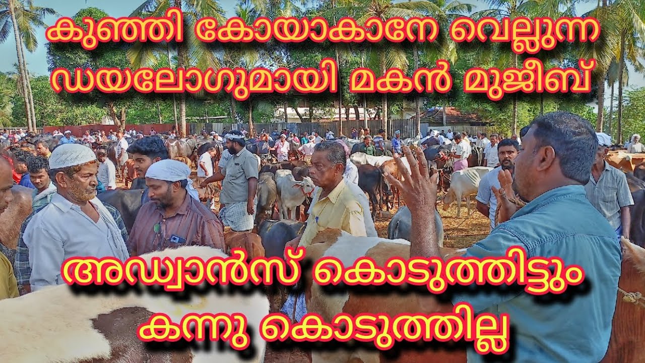 കുഞ്ഞി കോയാകയെ വെല്ലുന്ന ഡയലോകുമായി മകൻ മുജീബ്...അഡ്വാൻസ് കൊടുത്തിട്ടും തട്ടി
