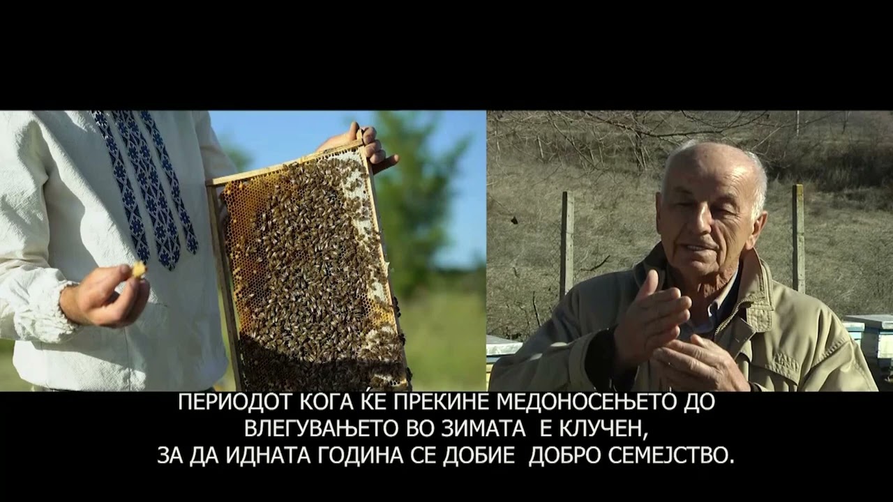 PČELARSTVO Tv Skoplje AGRAR Odgovor na pitanja