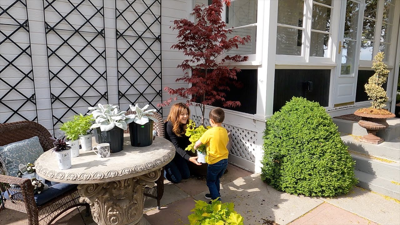 Planting a Japanese Maple in a Pot (+ Tips on Growing Trees in Containers)! 💚🌳💚 // Garden Answer