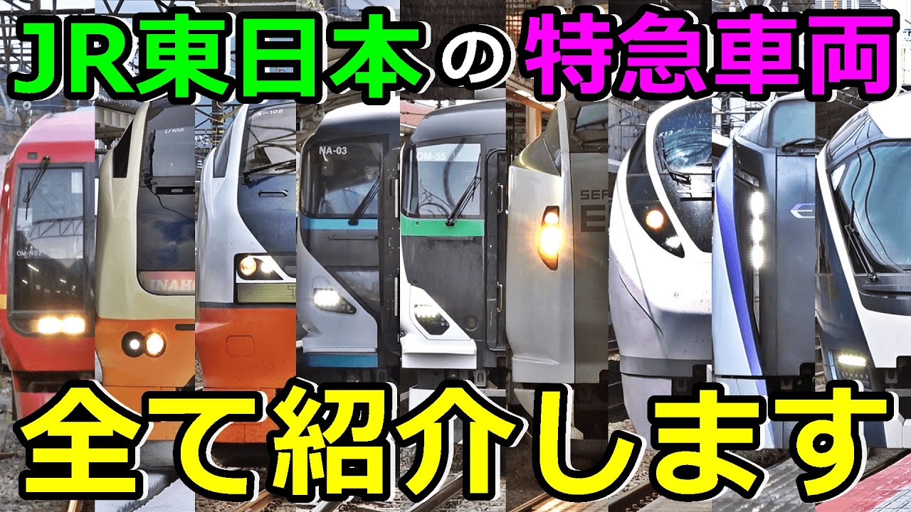 【2024年最新版】JR東日本のイカれた特急車両を紹介するぜ！