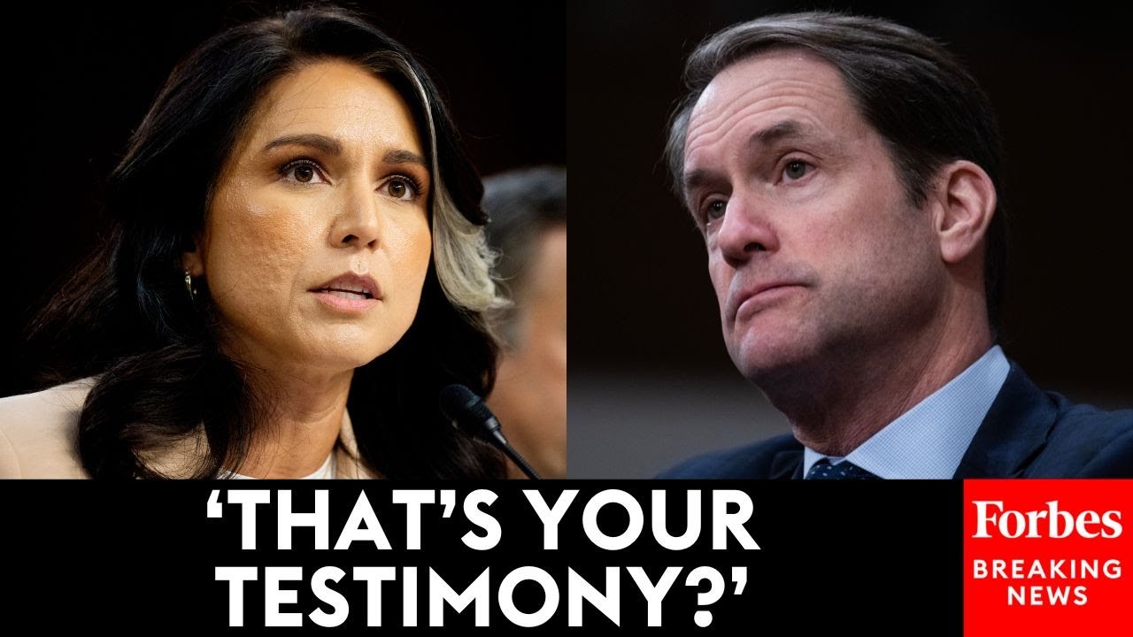 JUST IN: Jim Himes Absolutely Lights Into Tulsi Gabbard Over Signal Chat That Included Journalist