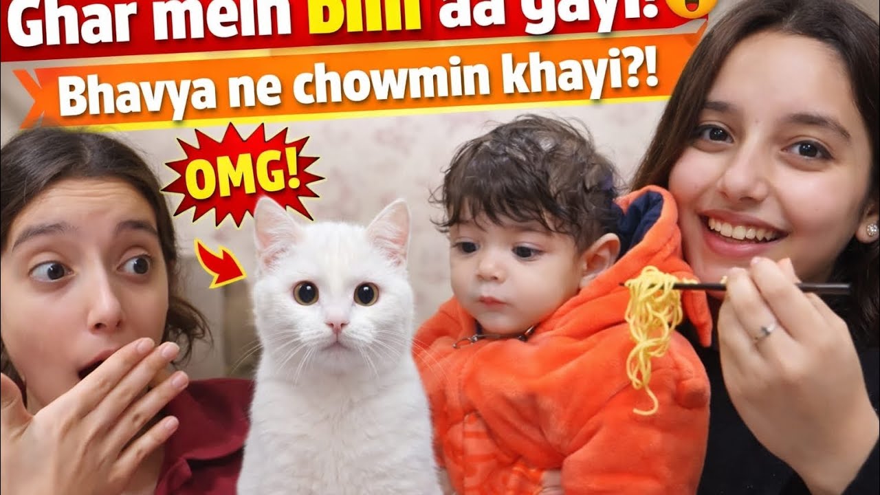 Unexpected guest 🐱 + Bhvya ki favourite chowmein 🍜 = Perfect moment 😍