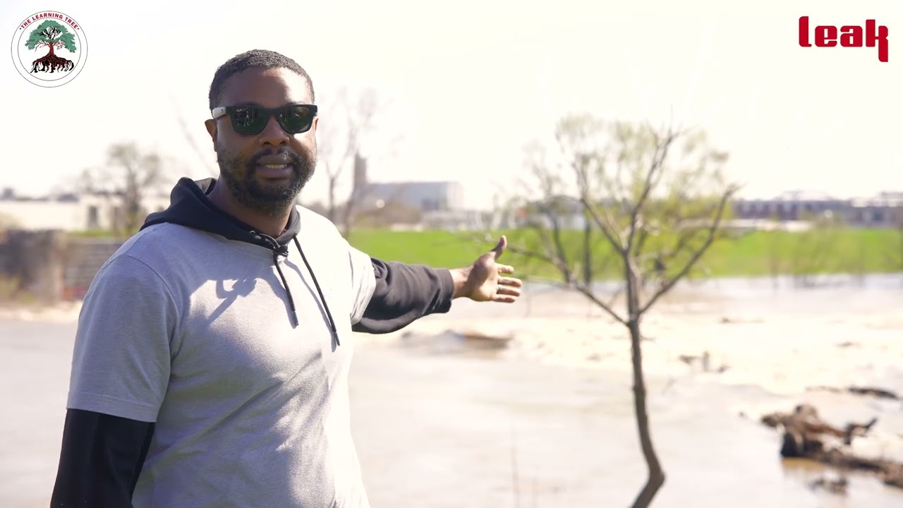 Belmont Beach: a story of resilience and reclamation | Tedd Hardy
