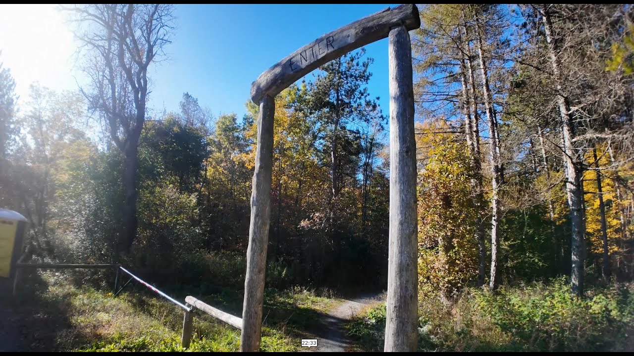 Beagle Club Trail in Northumberland County, October 19, 2024