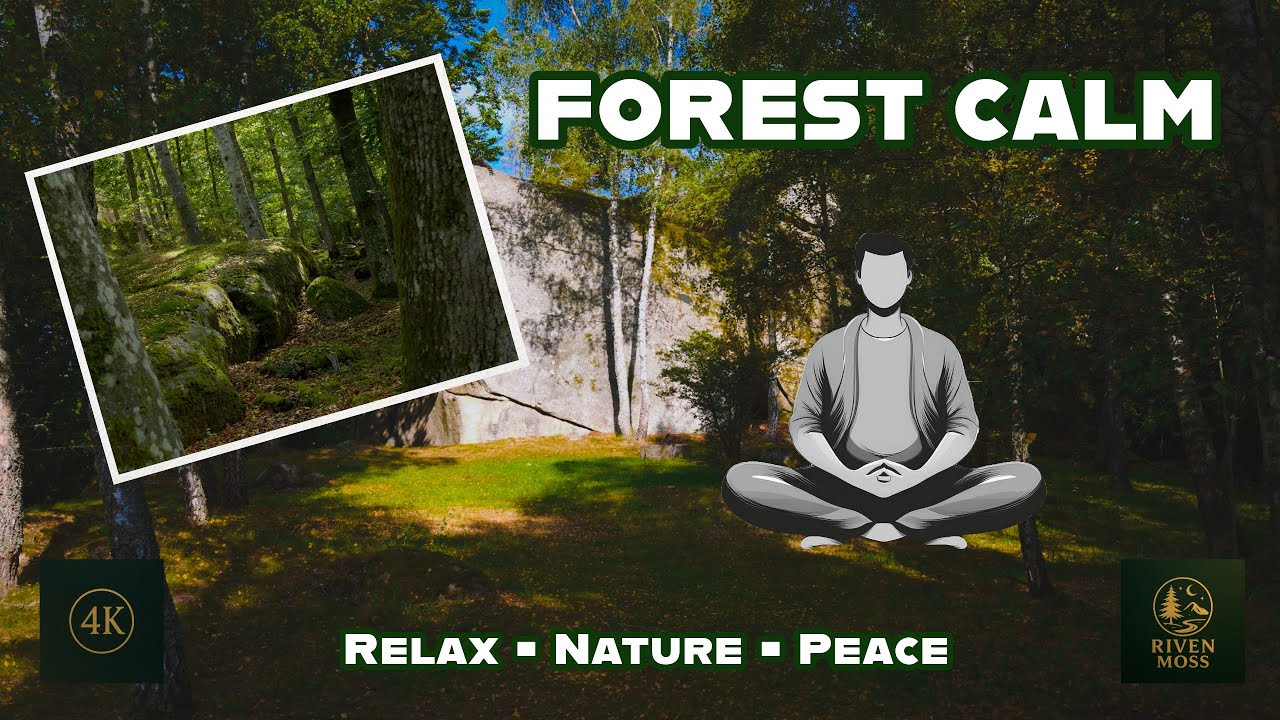 Forest Mix &laquo;Безмятежность&raquo; | Расслабляющая музыка для сна и концентрации