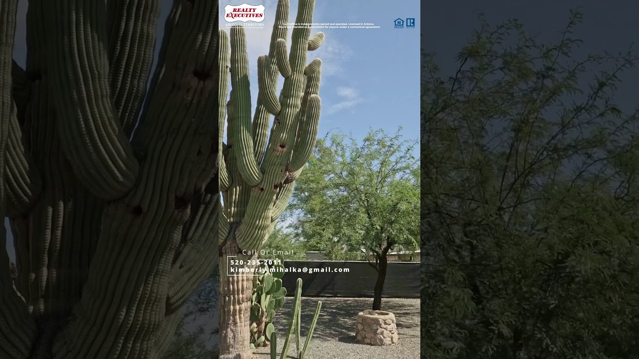 Hot Property in Tucson Arizona!