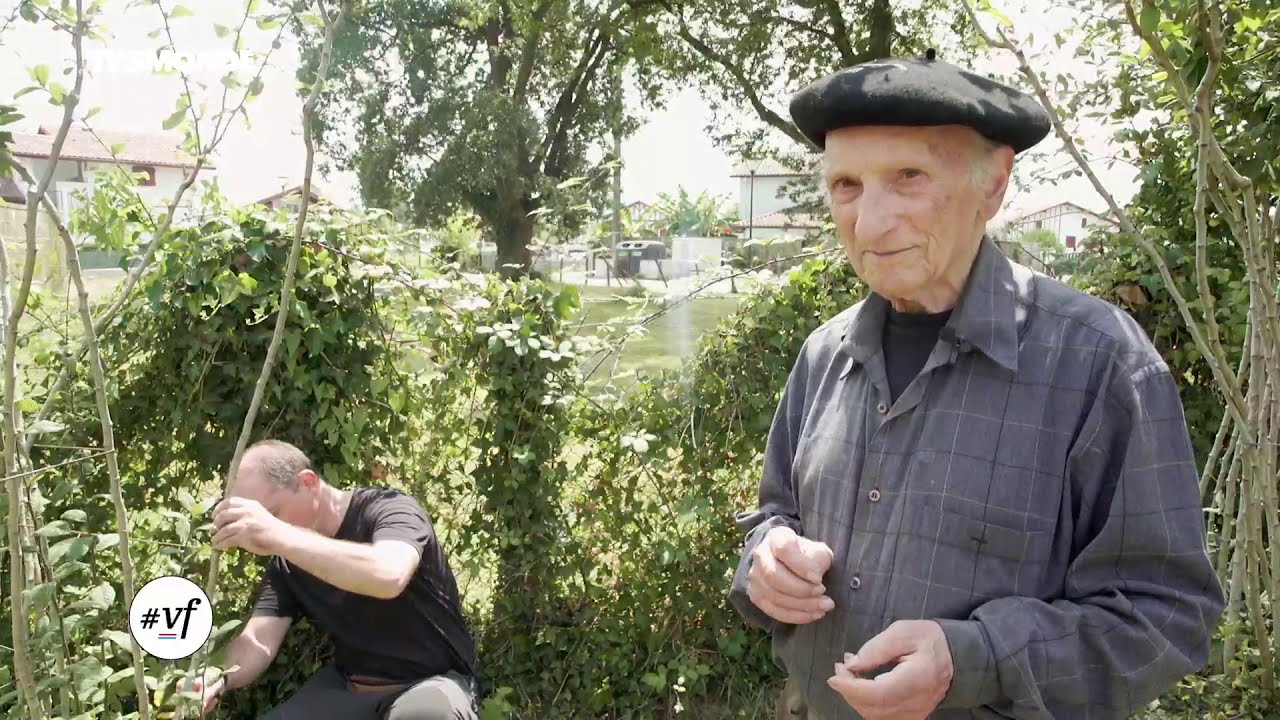 TV5 Monde - Version française