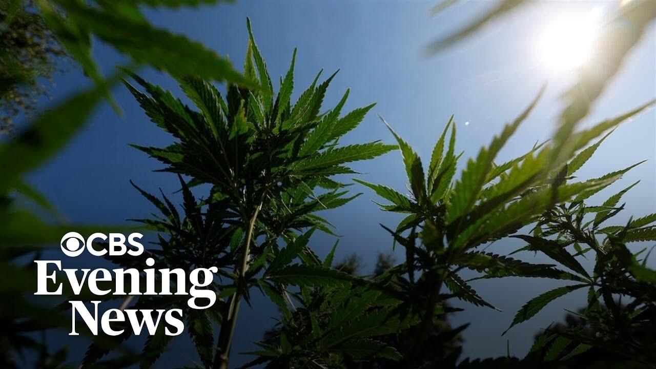 What would it take for the federal government to reclassify marijuana?