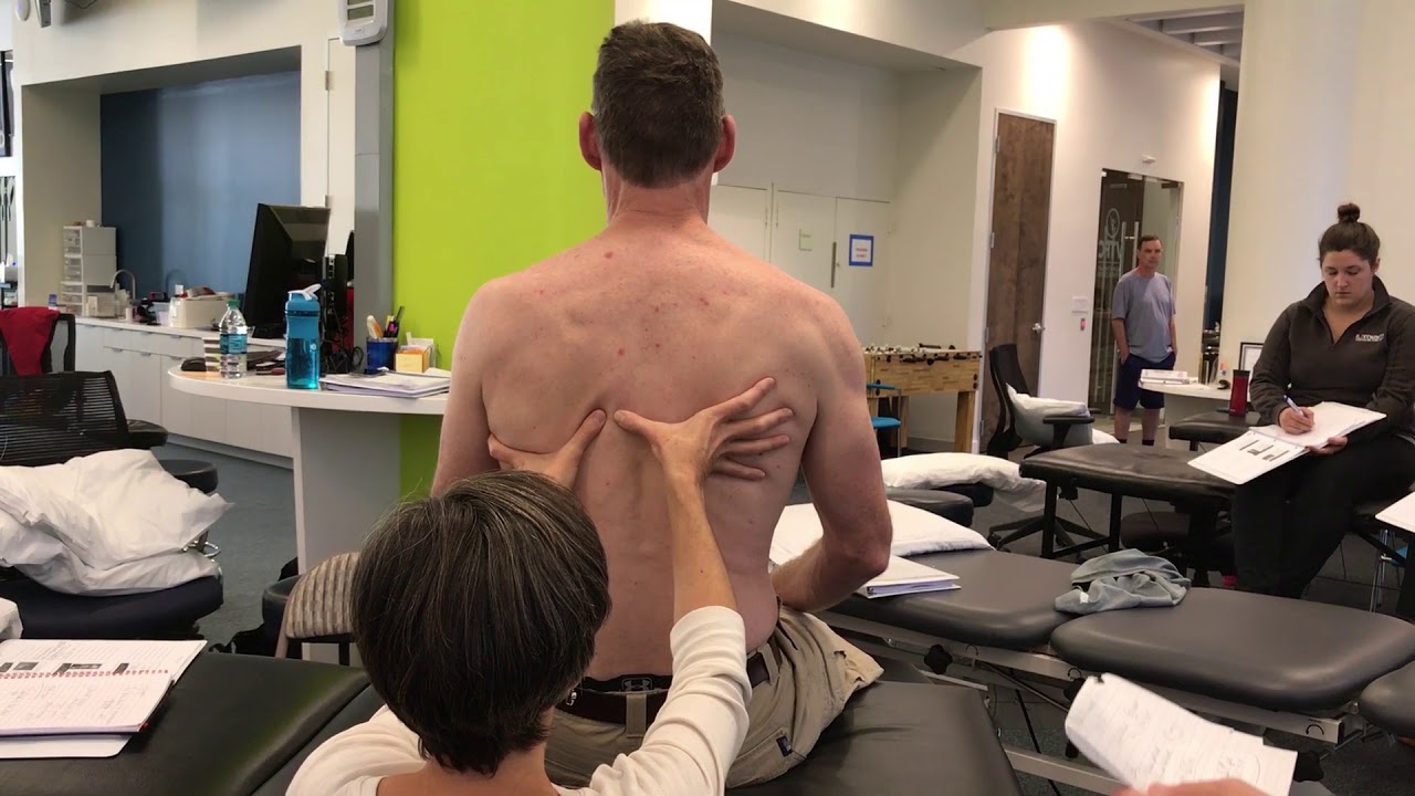 Articular system impairment – 8th thoracic ring translated left rotated right