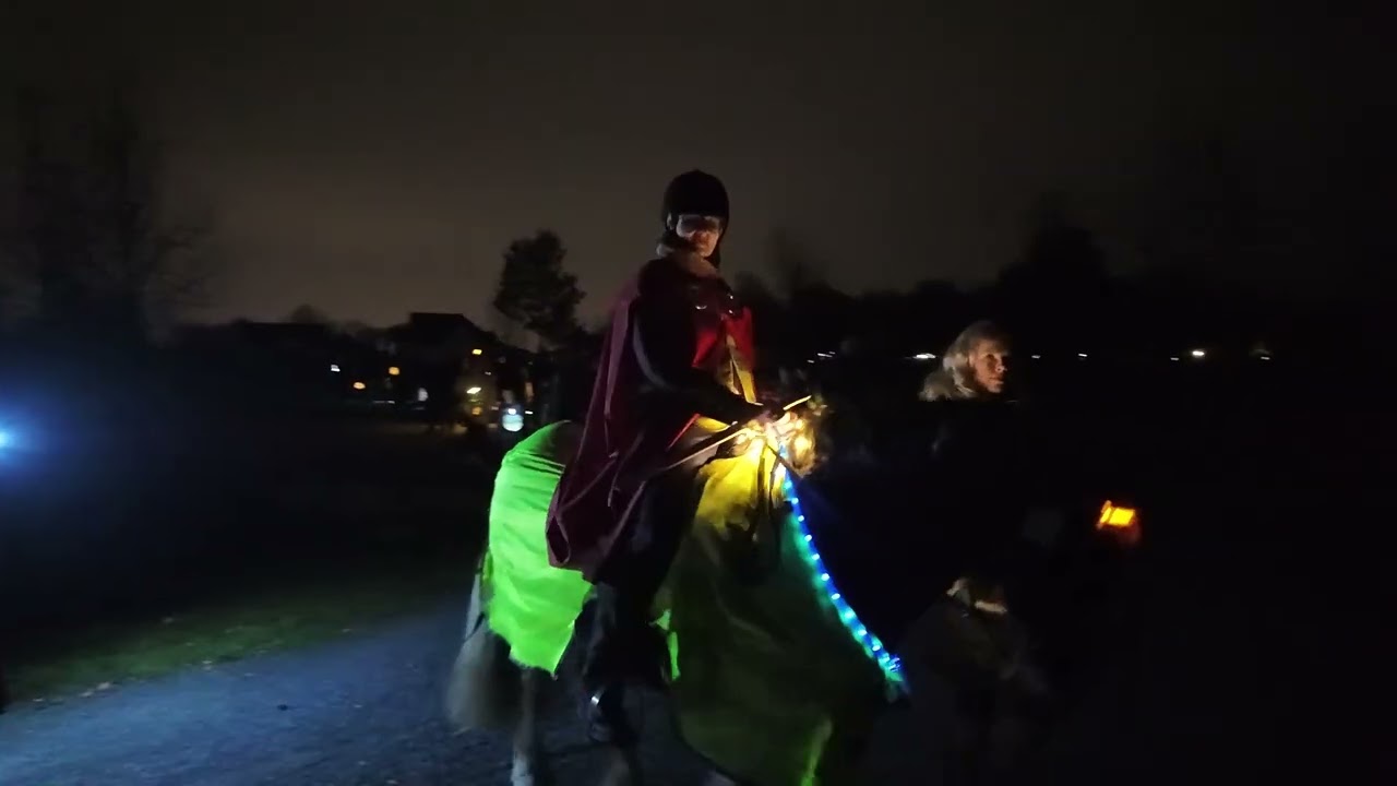 Sankt Martinsumzug Bönen