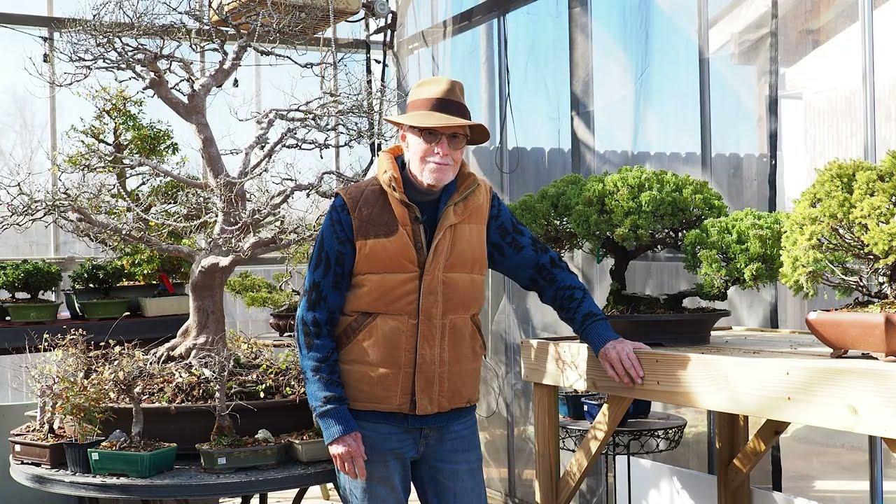Plant City Bonsai - Christmas 2025