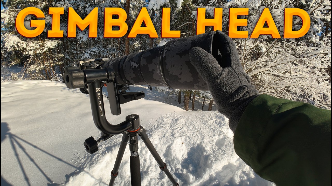 Вот так должна работать Gimbal голова для телевика!